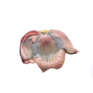 Chicken Gizzards (per 5 lb box)