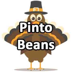 Pinto Beans